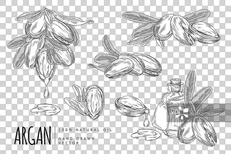 黑白轮廓的集合图片素材