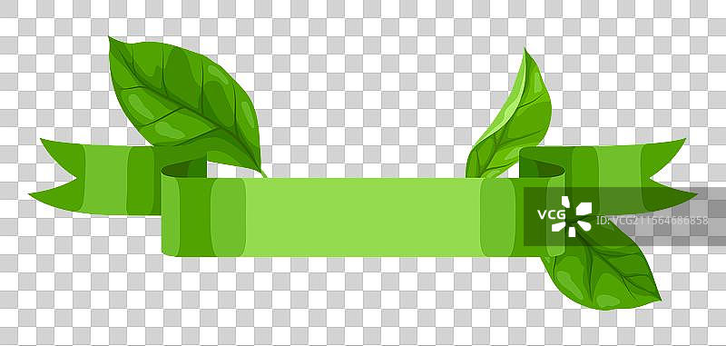 带叶子的春夏风格丝带图片素材