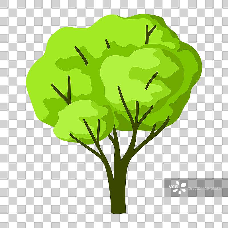 风格化的树木，带有自然的夏季叶子图片素材