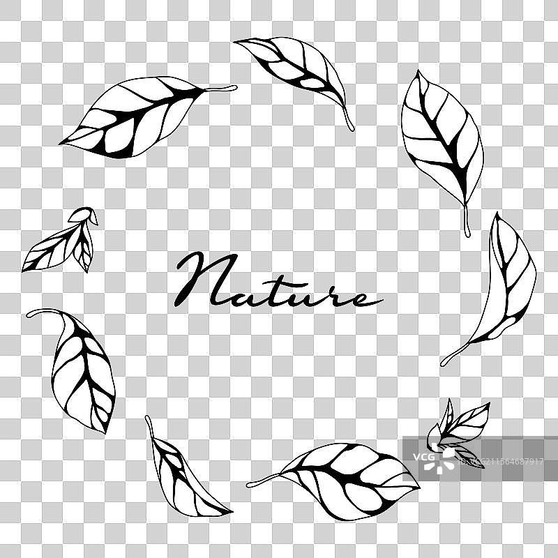 春季或夏季风格的叶子框架图片素材