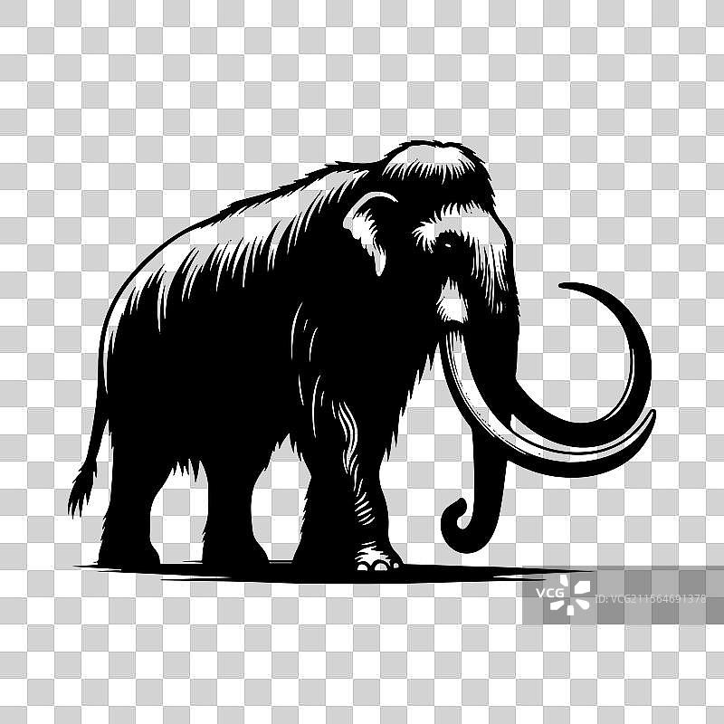 详细的黑白毛象图像图片素材