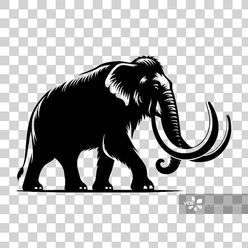 一头雄伟的毛象图片素材