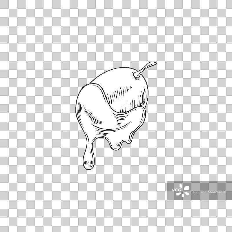 热巧克力火锅中的葡萄素描图片素材