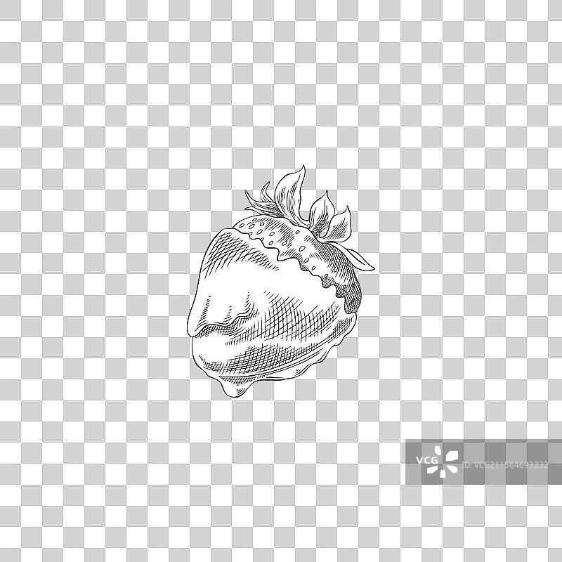 手绘草莓浸泡在融化的巧克力中图片素材