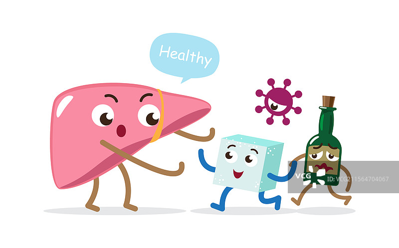 健康的肝脏与糖、肝炎病毒和酒精图片素材