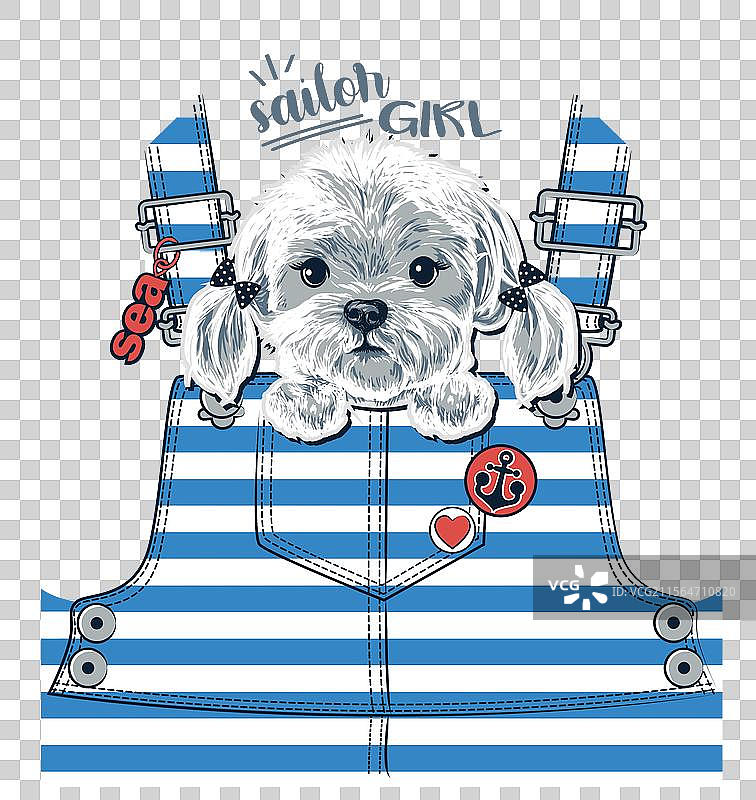 小狗从条纹连体衣中探出头来图片素材