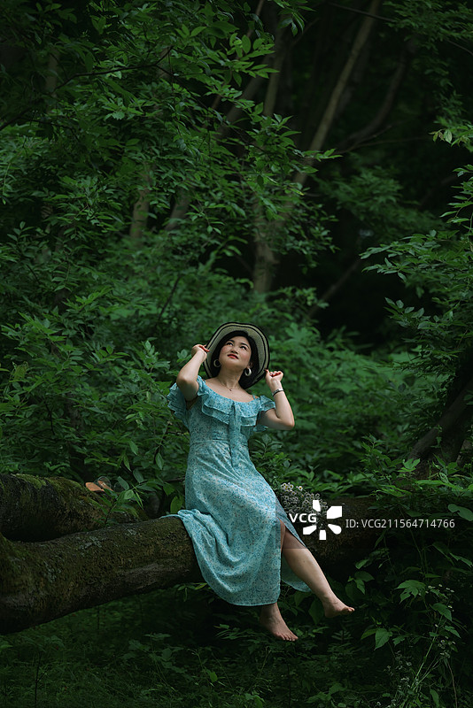 春日之森图片素材