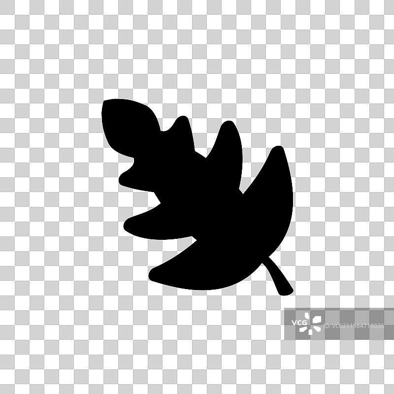 热带棕榈叶香蕉树枝平面设计图片素材