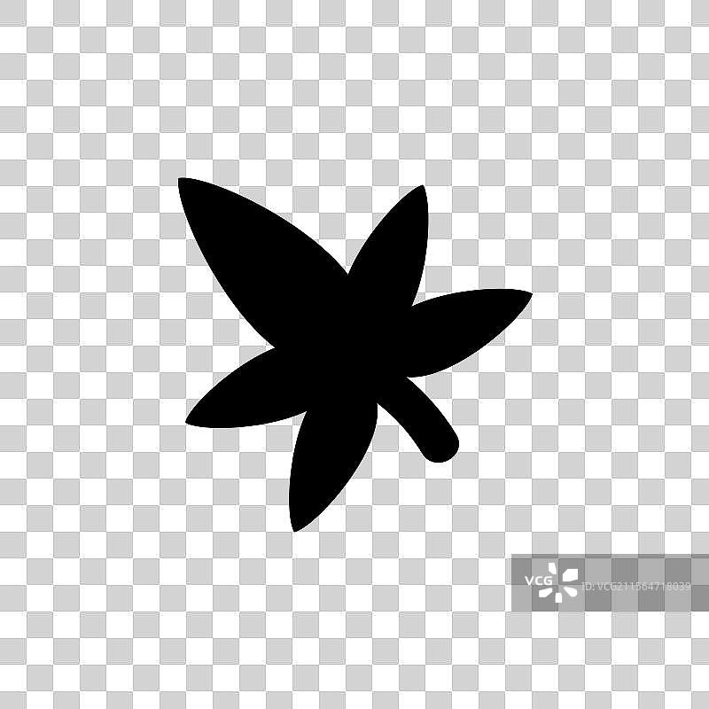 甜gum美国安息香固体液ambar叶图片素材