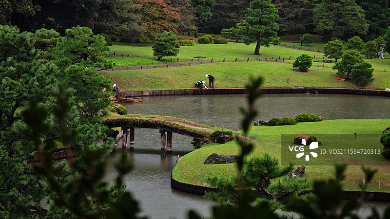 日本东京六义园是江户时代大名庭园的代表作以和歌山的情趣为基调的 “回游式假山泉水” 春天樱花盛开秋天图片素材