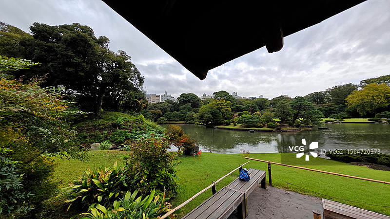 日本东京六义园是江户时代大名庭园的代表作以和歌山的情趣为基调的 “回游式假山泉水” 春天樱花盛开秋天图片素材