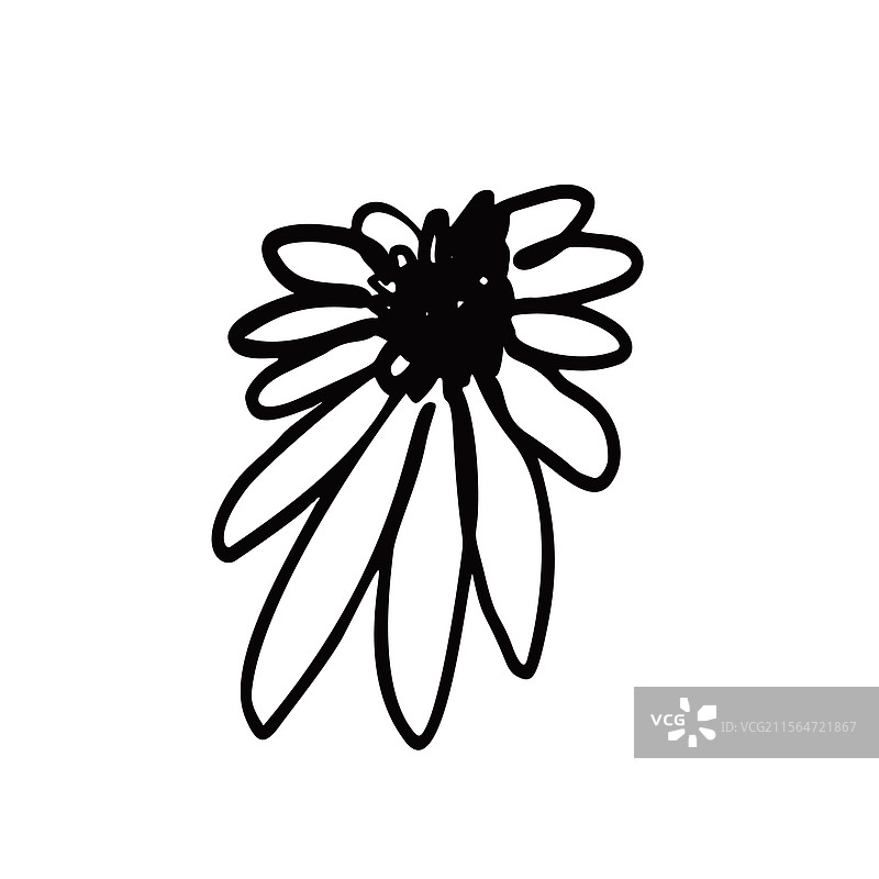 手绘黑墨抽象雏菊花图片素材