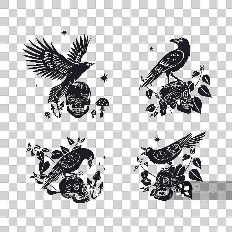手绘单色墨水素描风格的乌鸦图片素材