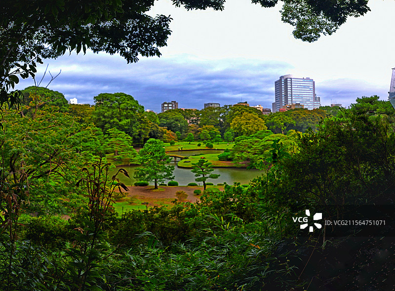 日本东京六义园是江户时代大名庭园的代表作以和歌山的情趣为基调的 “回游式假山泉水” 春天樱花盛开秋天图片素材