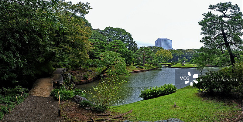 日本东京六义园是江户时代大名庭园的代表作以和歌山的情趣为基调的 “回游式假山泉水” 春天樱花盛开秋天图片素材