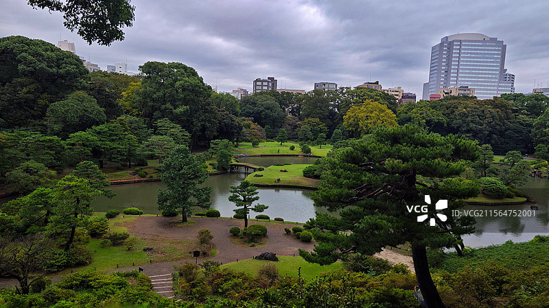 日本东京六义园是江户时代大名庭园的代表作以和歌山的情趣为基调的 “回游式假山泉水” 春天樱花盛开秋天图片素材