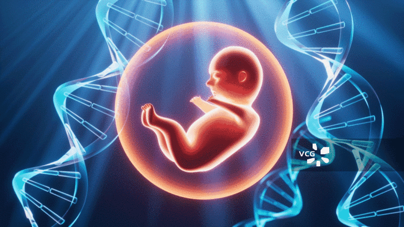 人类胚胎和DNA视频图片素材