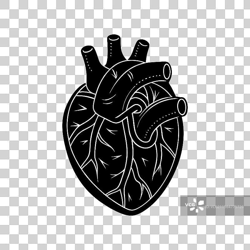 pacemaker on white background图片素材