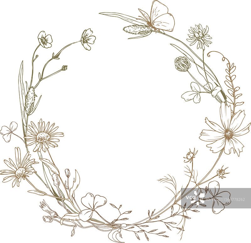 田野草地上的野花和草药，宇宙花图片素材