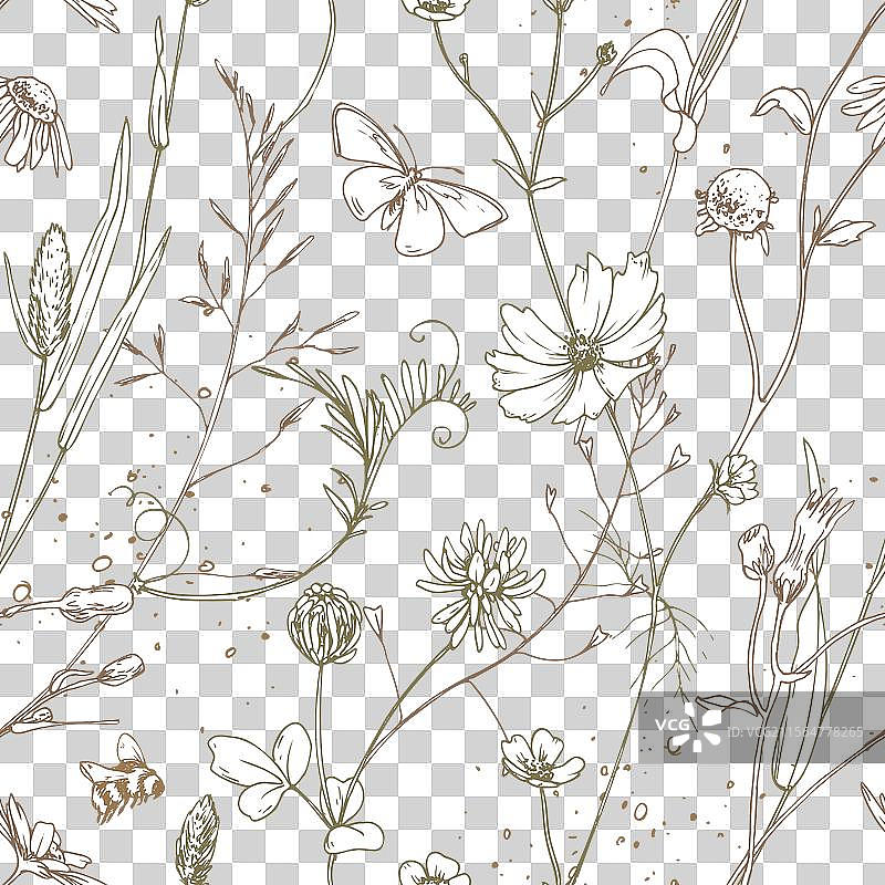 田野草地上的野花和草药，宇宙花图片素材