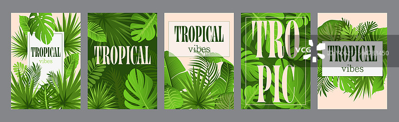 热带氛围排版模板海报图片素材