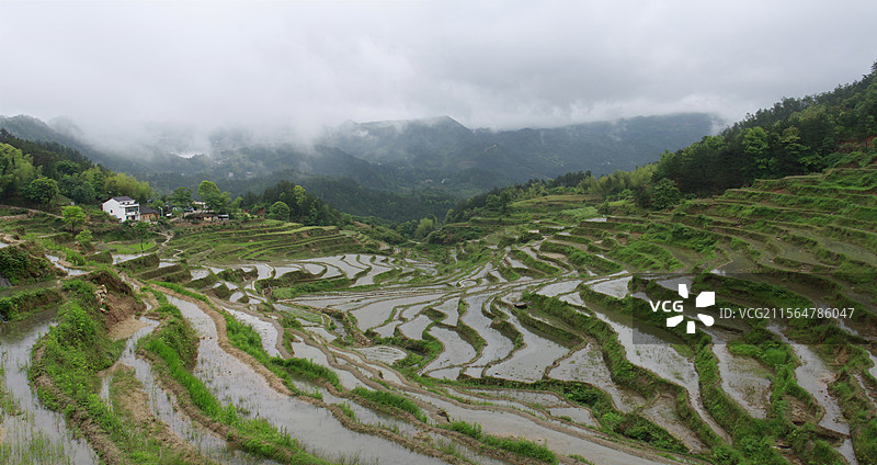 湖北蕲春雾云山梯田全景图图片素材