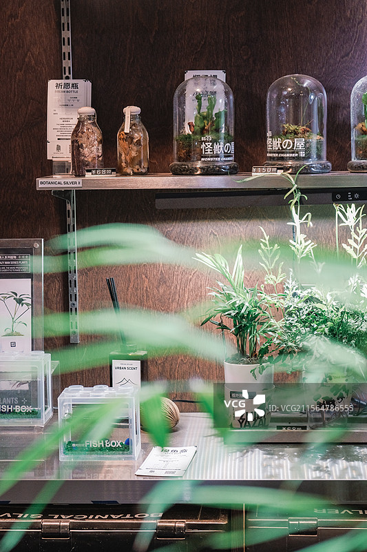 新中式庭院创意文创店铺内外环境图片素材