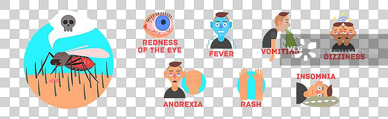 疟疾或登革热症状信息图表图片素材