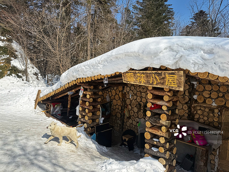 长白山森林小屋图片素材