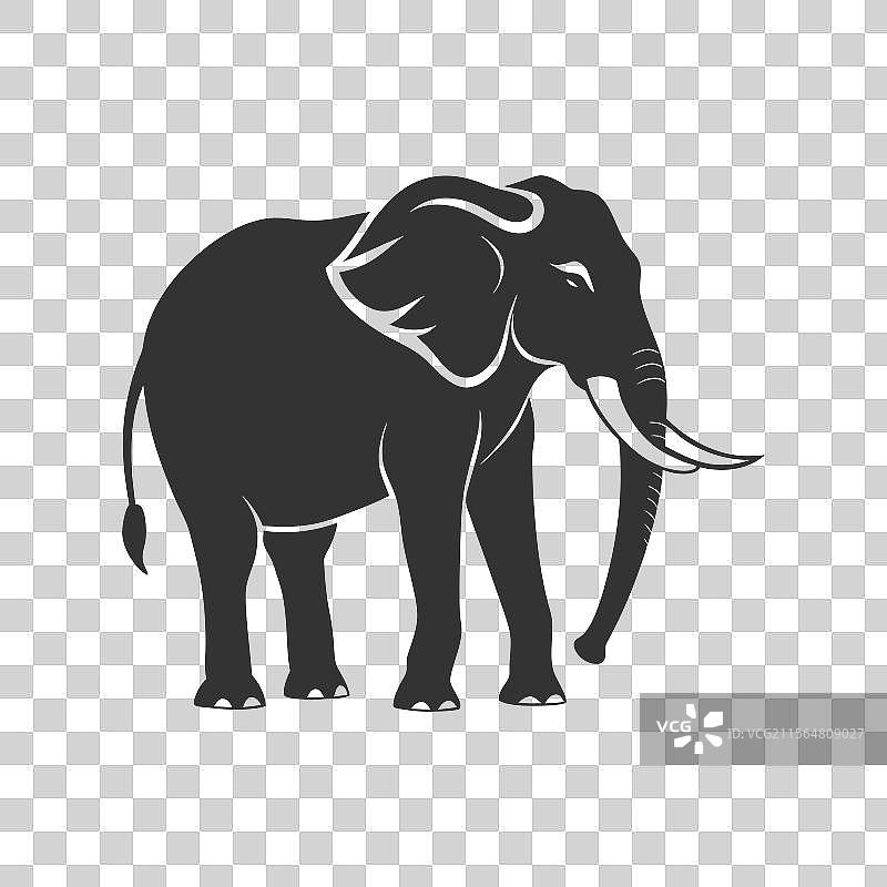 极简风格的大象轮廓设计图片素材