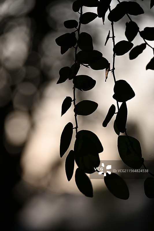 光影世界图片素材