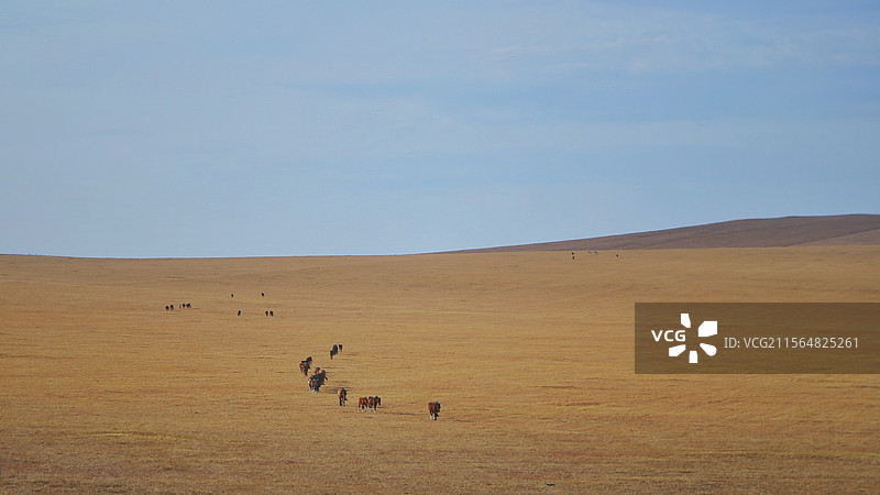 室韦小镇图片素材