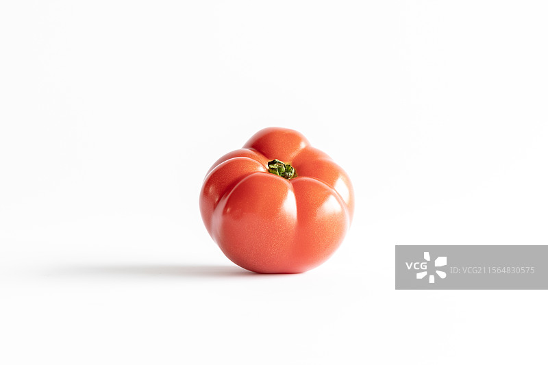 白色背景上的番茄特写镜头图片素材