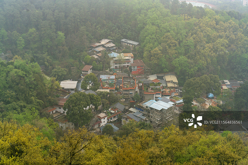 都姜堰二王庙松茂古道景观和风景图片素材