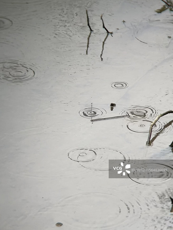 雨中池塘图片素材