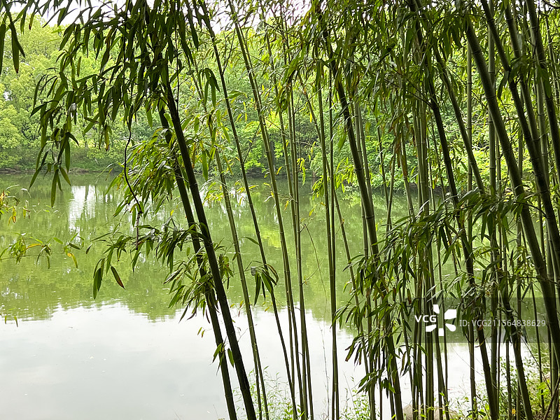 安吉竹博园图片素材