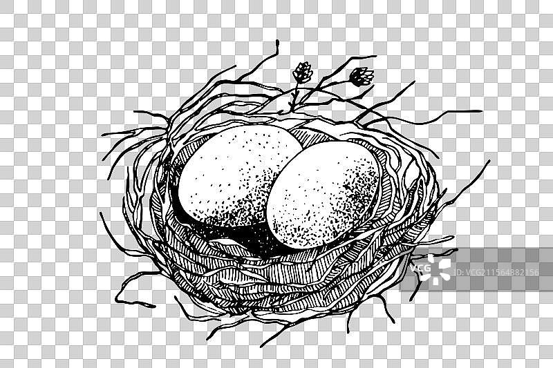 手绘的复活节鸟巢与蛋图片素材