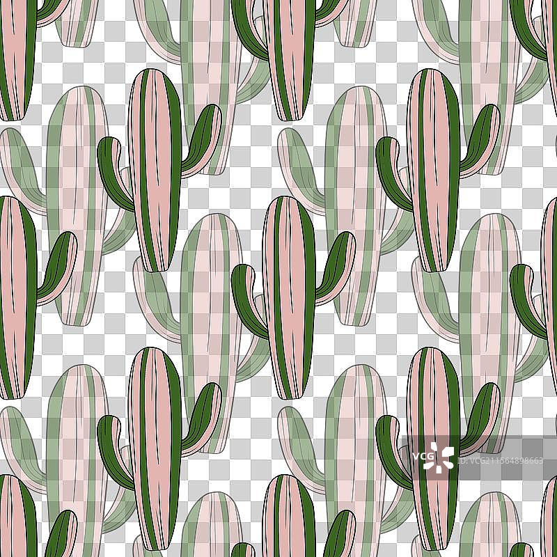 无缝图案，盛开的多肉植物仙人掌图片素材