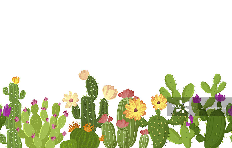 仙人掌无缝图案从右到左图片素材