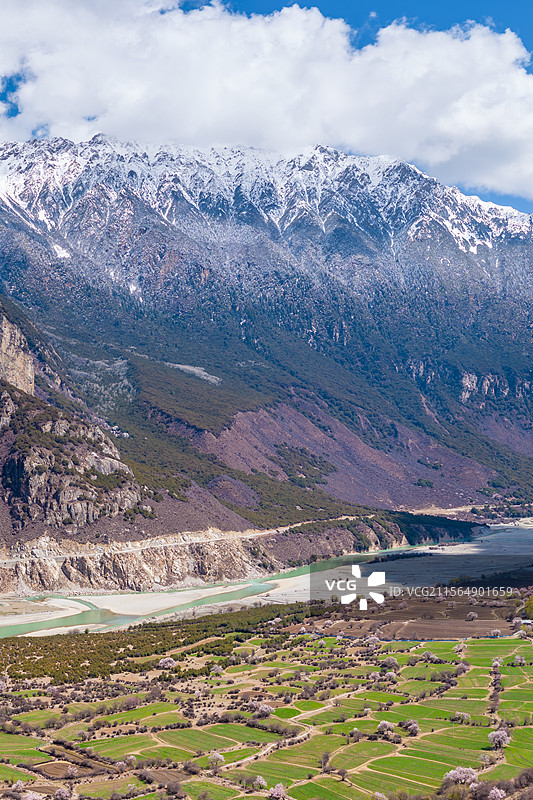 西藏那曲市嘉黎县尼屋乡的桃花图片素材