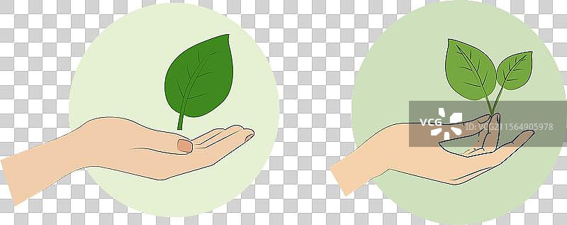 手握叶子和嫩芽图片素材