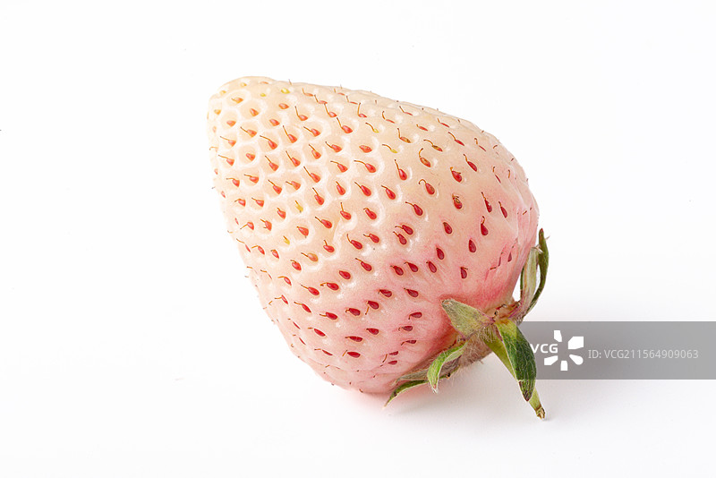棚拍白底静物水果一颗白草莓特写图片素材
