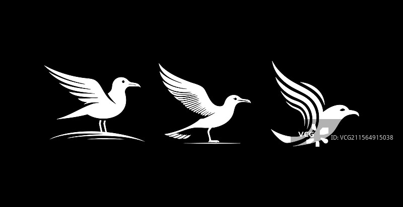 黑白海鸥标志图片素材