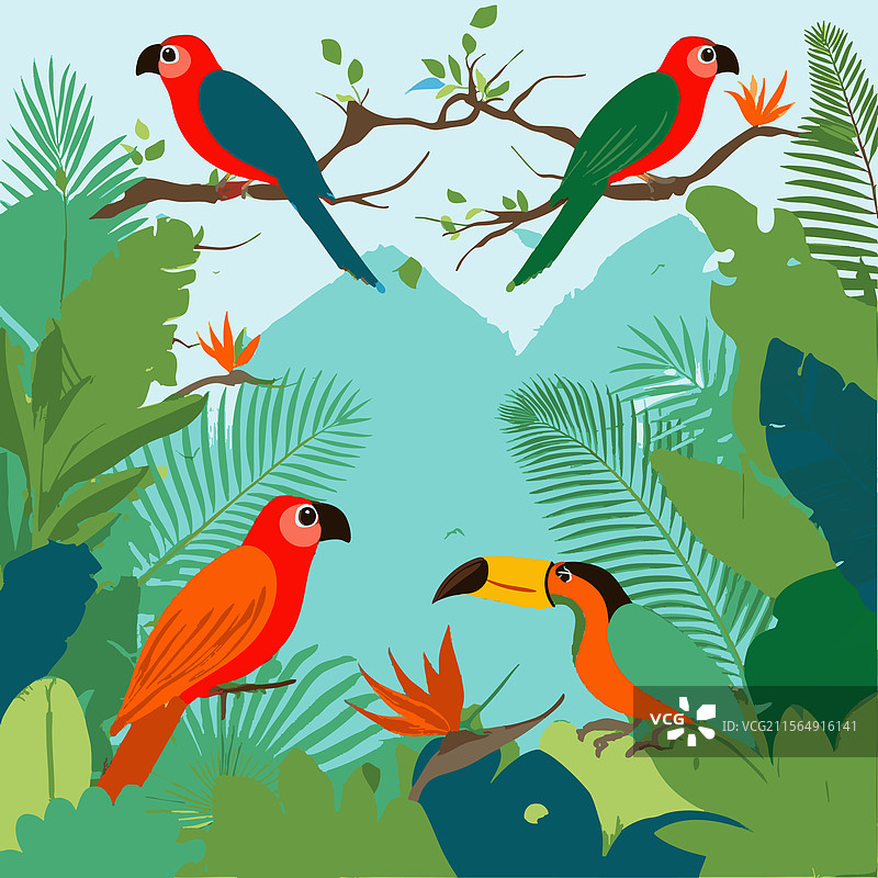 热带雨林与五彩斑斓的鸟类图片素材