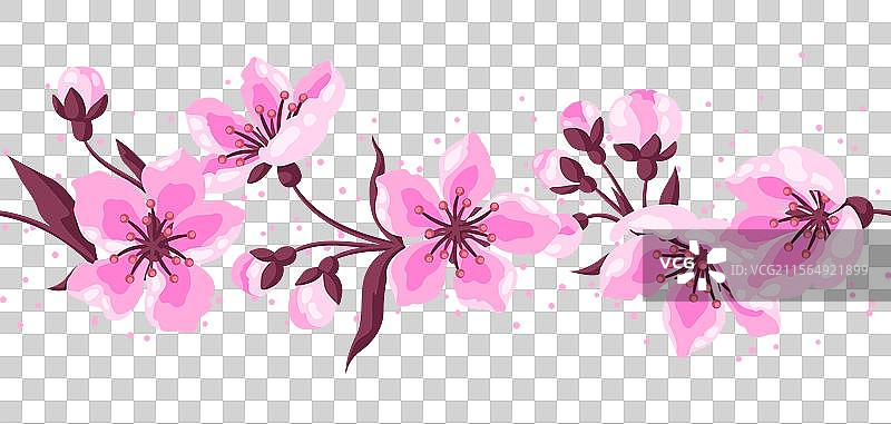 春季花卉图案：苹果花与樱花图片素材