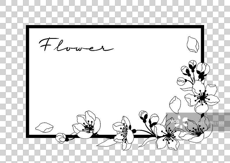 带有春季花卉的框架，苹果花或樱花图片素材