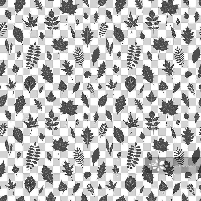 不同树木的叶子无缝图案图片素材