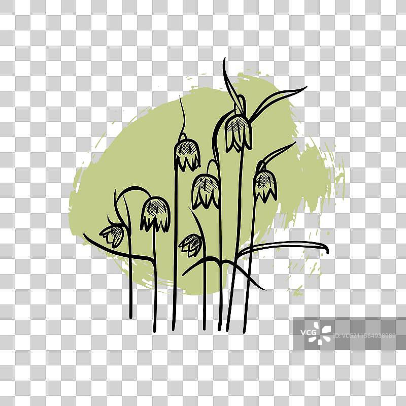 手绘线条艺术的百合花图片素材