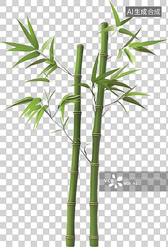 【AI数字艺术】竹子元素图片素材