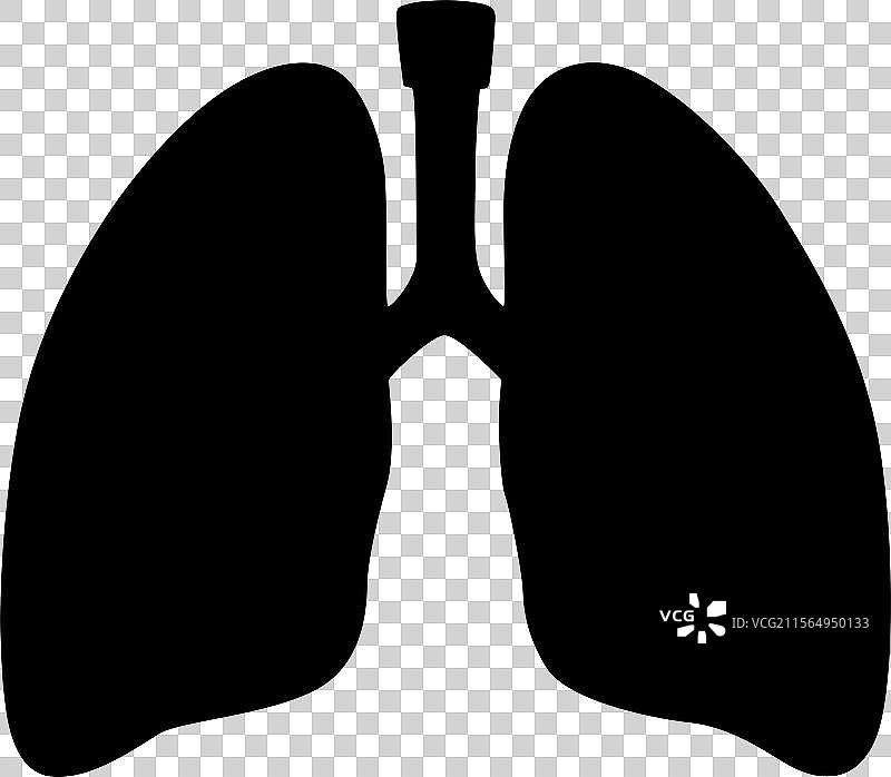 白色背景上的肺部轮廓图标设计图片素材